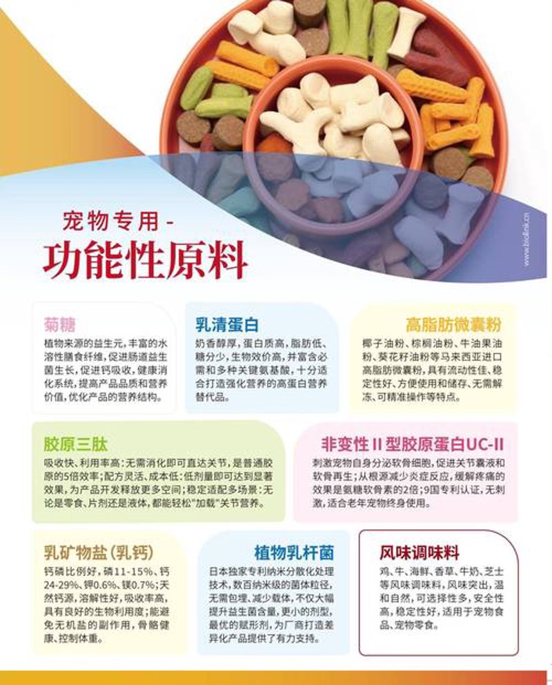 酶制剂定制：生物科技的精妙艺术