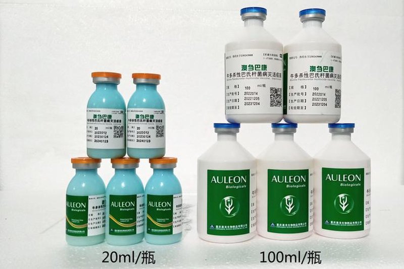 酶制剂定制:生物科技的精妙艺术